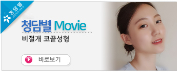 비절개코끝성…