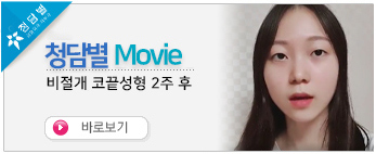 비절개코끝성…