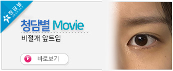 비절개 앞트임 …