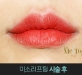 비절개입꼬리…